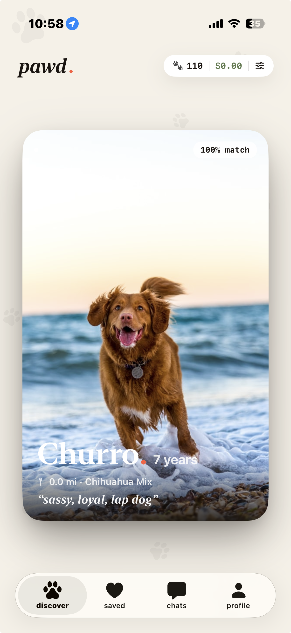 pawd. discover screen